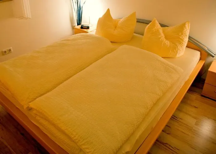 Ginkgo * Дрезден