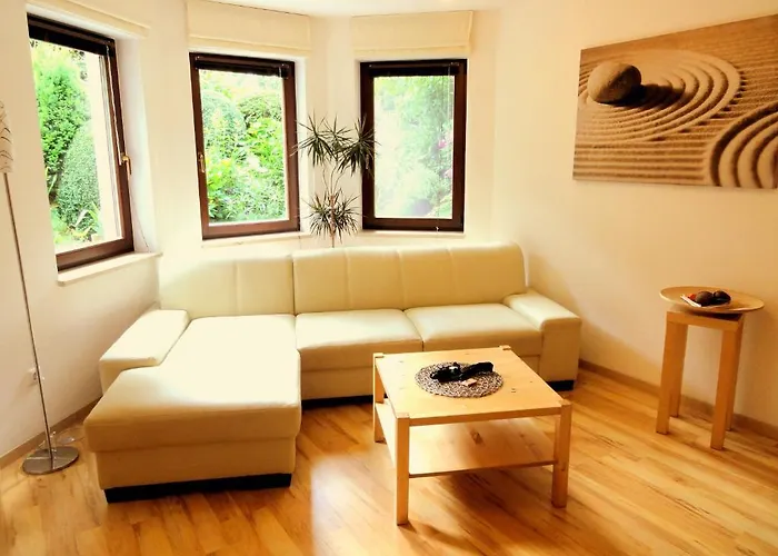 Ginkgo * Дрезден