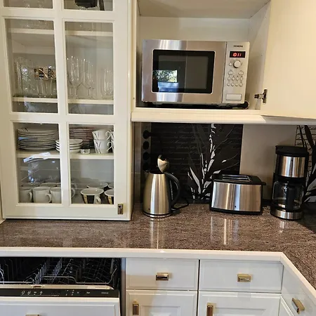 Ginkgo Apartman Drezda