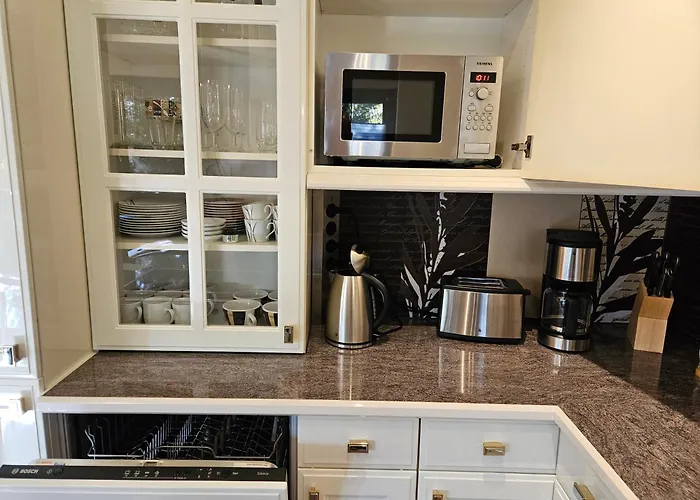 Ginkgo Apartman Drezda